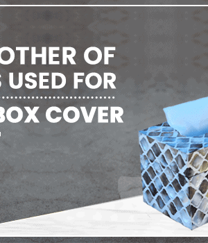 tissue box cover